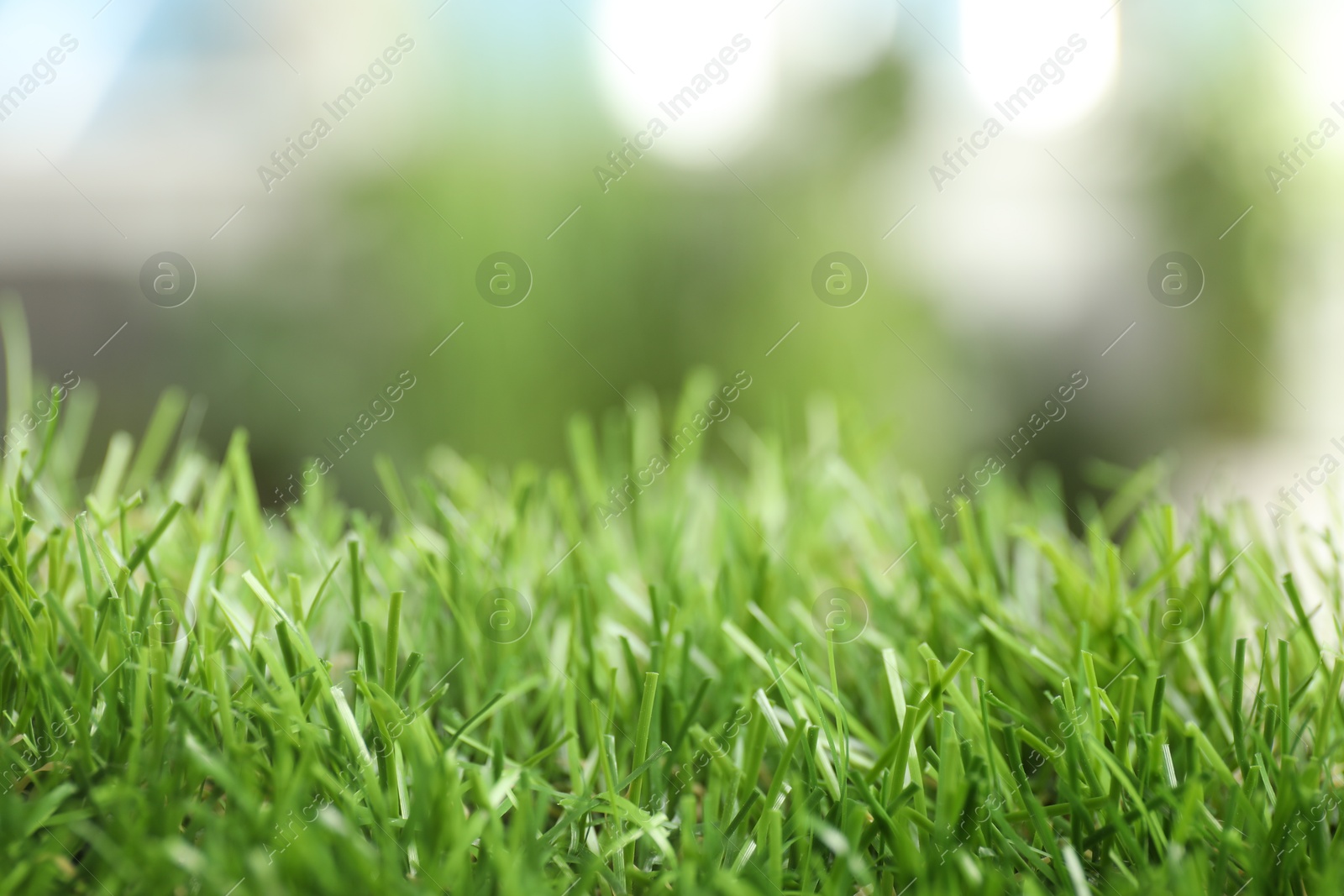 Photo of Green artificial grass against blurred background, closeup