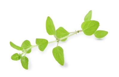 Photo of Sprig of fresh green oregano isolated on white