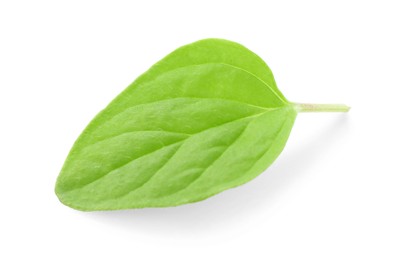 Photo of Leaf of fresh green oregano isolated on white