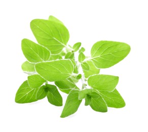 Photo of Sprig of fresh green oregano isolated on white