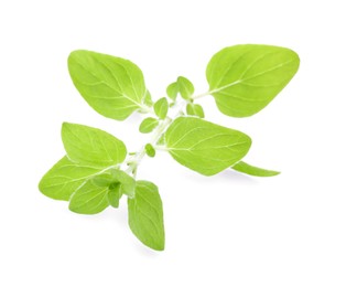 Photo of Sprig of fresh green oregano isolated on white