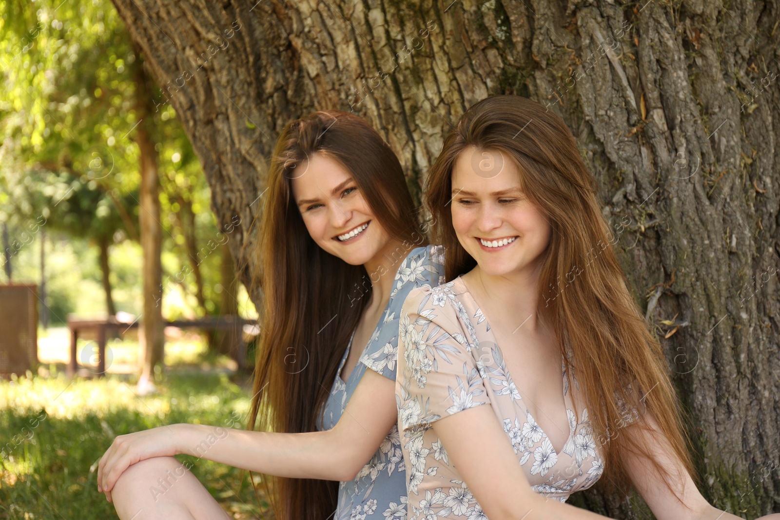 Photo of Two beautiful twin sisters near tree outdoors