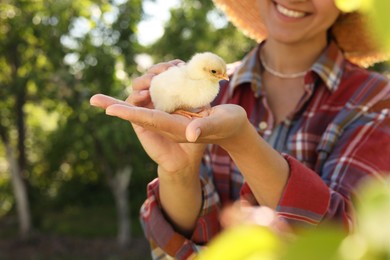 Woman with cute chick outdoors, closeup. Baby animal