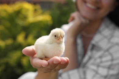 Photo of Woman with cute chick outdoors, selective focus