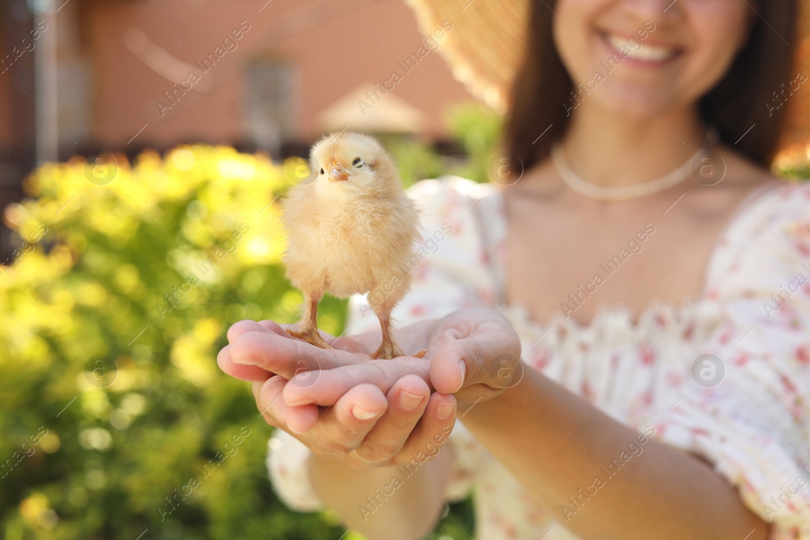 Photo of Woman with cute chick outdoors, selective focus. Baby animal