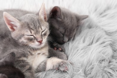 Photo of Cute fluffy kittens sleeping on faux fur. Baby animals