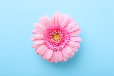 Photo of One beautiful pink gerbera flower on light blue background, top view