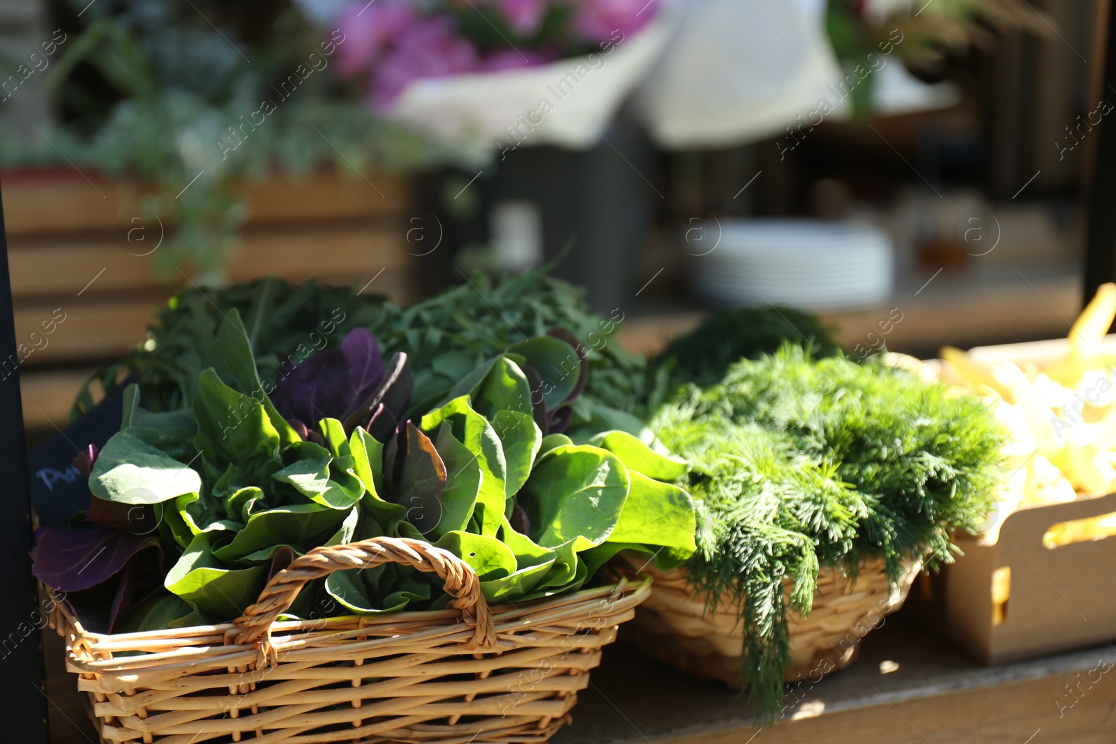 Photo of Different herbs in wicker baskets on table outdoors, closeup