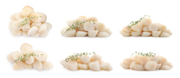 Image of Set of fresh scallops isolated on white, top and side views