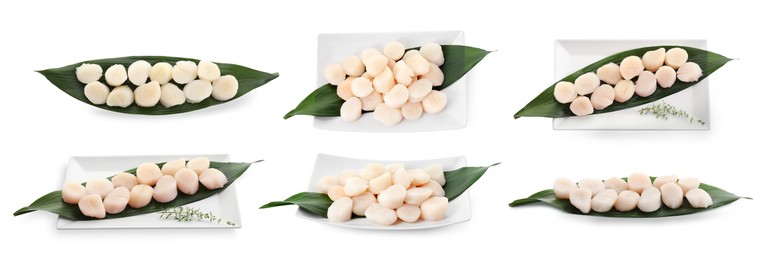 Image of Set of fresh scallops isolated on white, top and side views