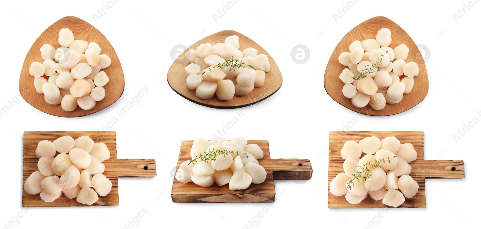 Image of Set of fresh scallops isolated on white, top and side views