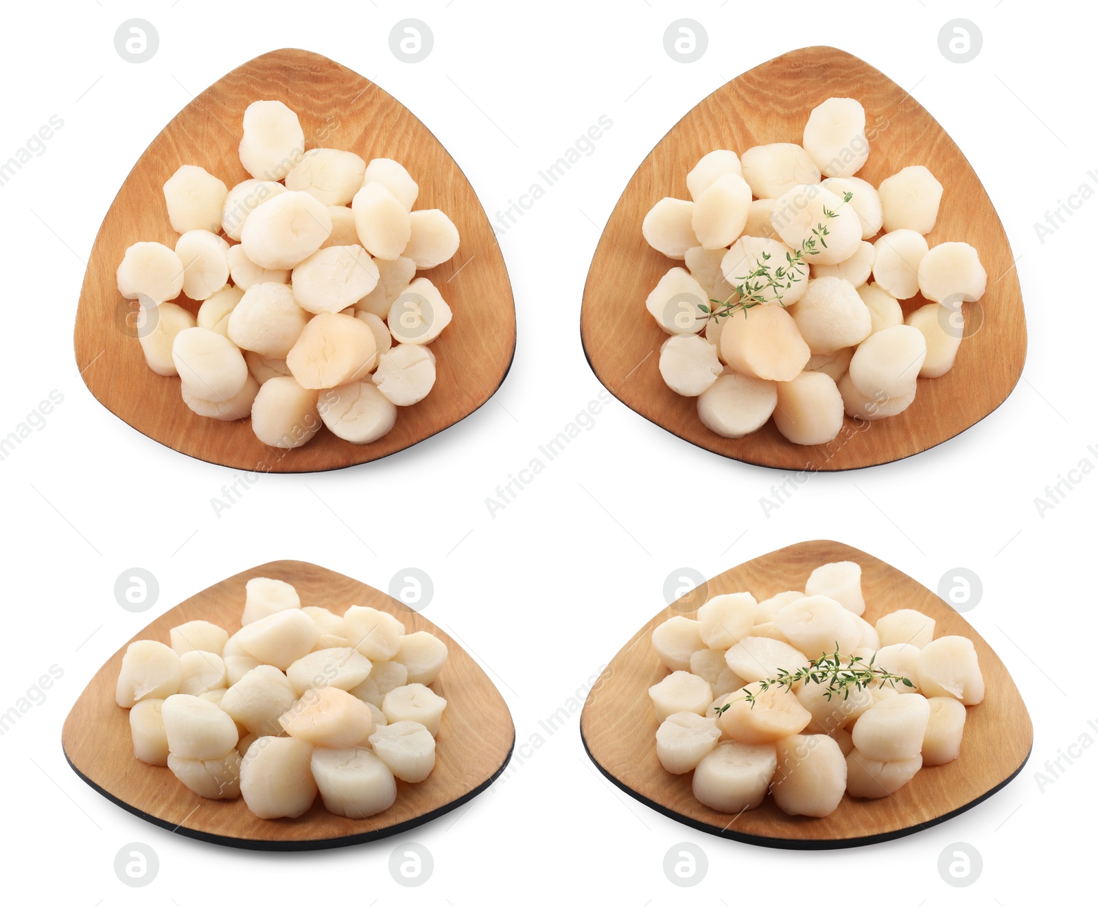 Image of Wooden board with fresh scallops isolated on white, top and side views