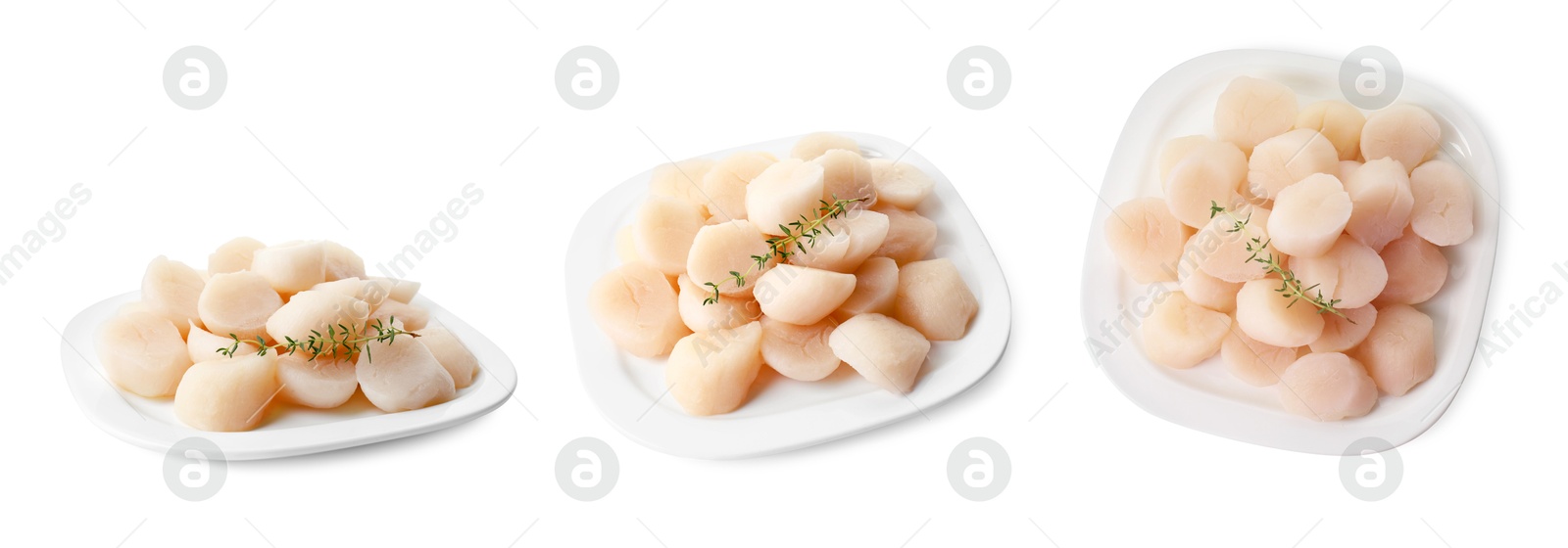 Image of Plate with fresh scallops isolated on white, top and side views