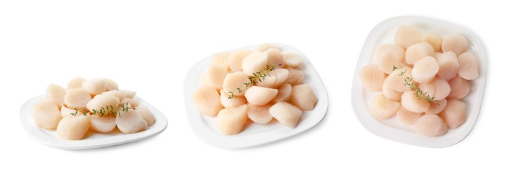 Image of Plate with fresh scallops isolated on white, top and side views