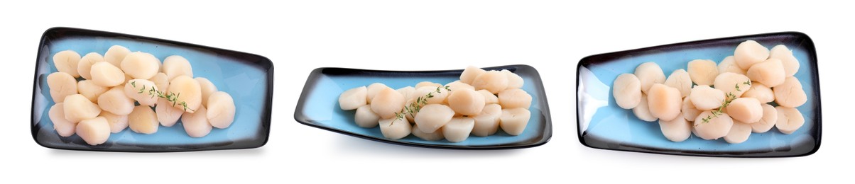 Plate with fresh scallops isolated on white, top and side views