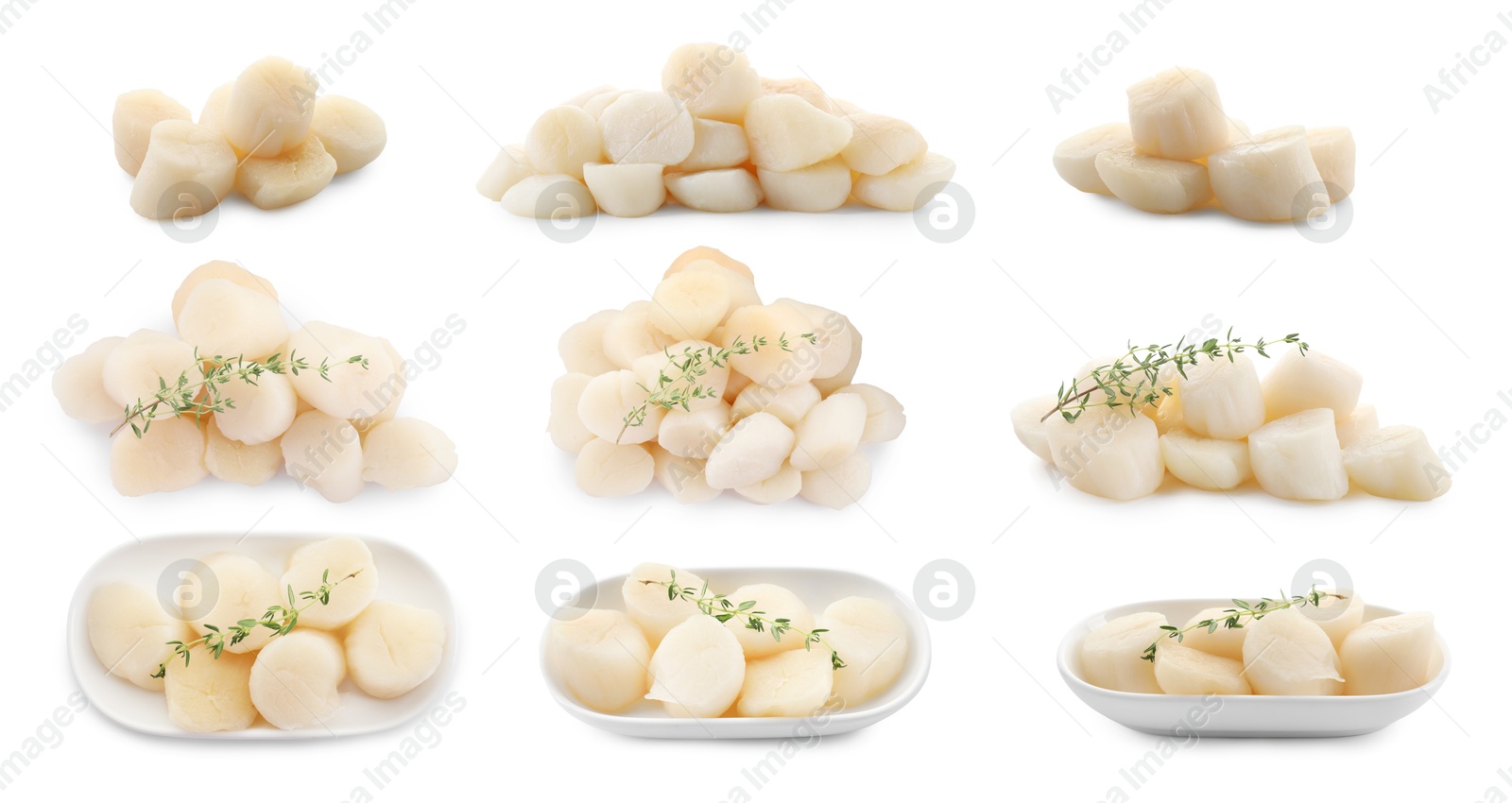 Image of Fresh scallops isolated on white, set. Seafood