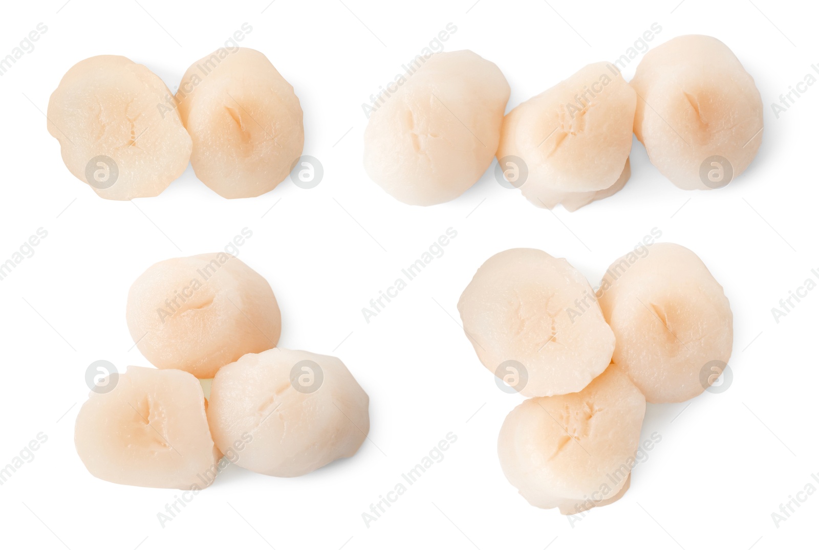 Image of Fresh scallops isolated on white, set. Seafood