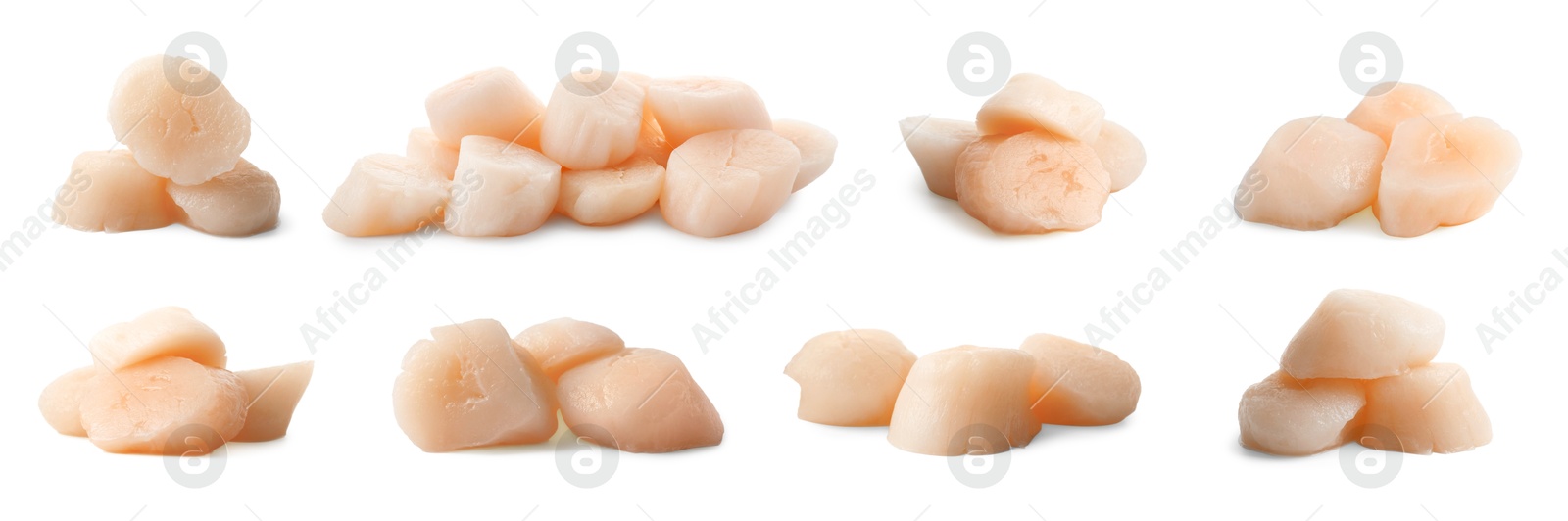 Image of Fresh scallops isolated on white, set. Seafood