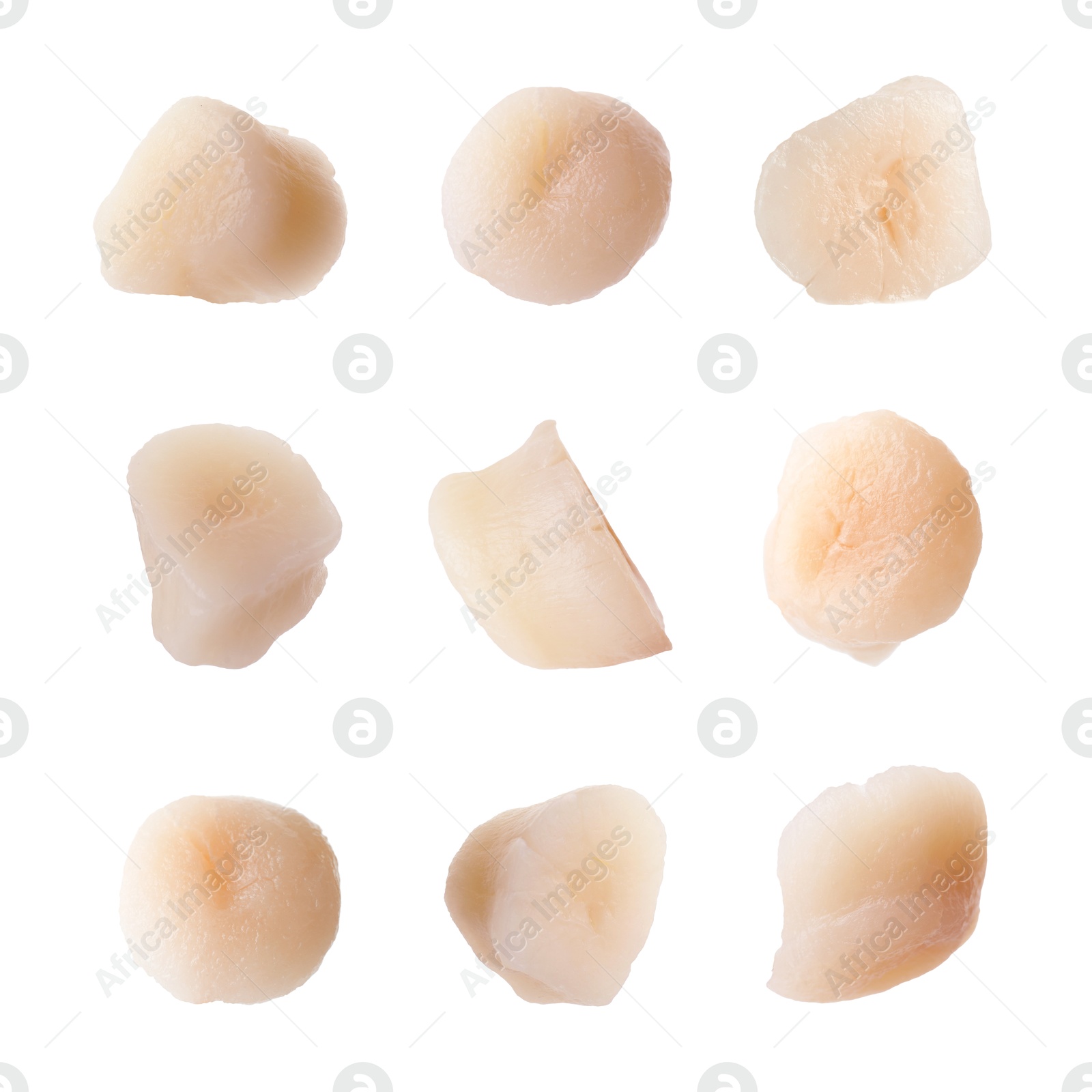 Image of Fresh scallops isolated on white, set. Seafood