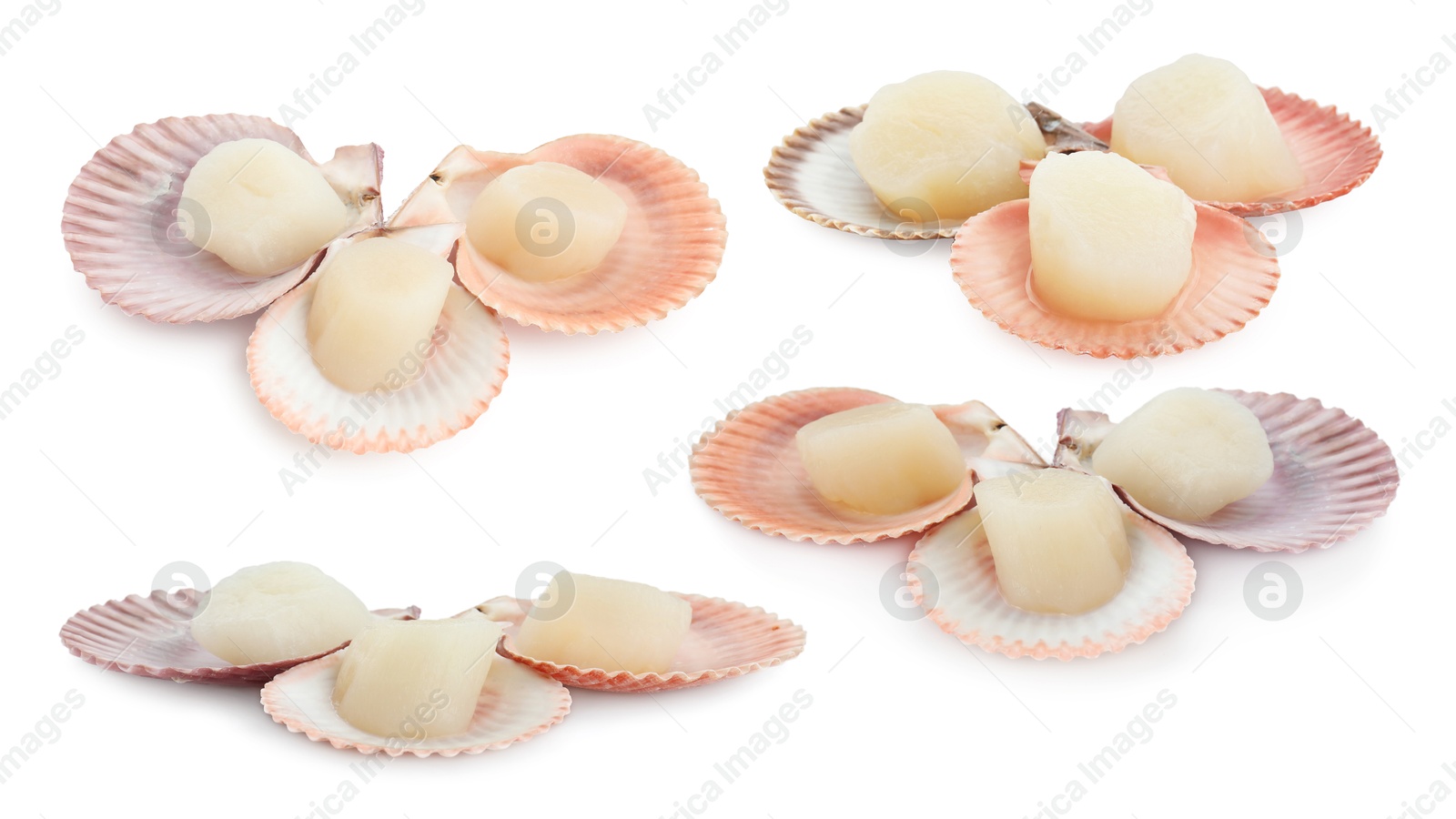 Image of Fresh scallops isolated on white, set. Seafood