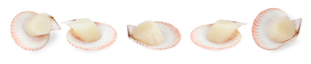 Image of Fresh scallops isolated on white, set. Seafood