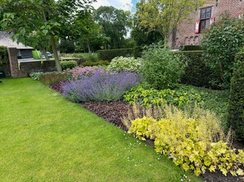 Photo of Beautiful plants and green grass growing outdoors