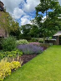 Photo of Beautiful plants and green grass growing outdoors