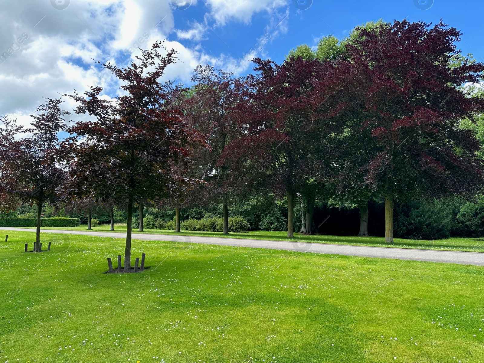 Photo of Beautiful trees and green grass in plant