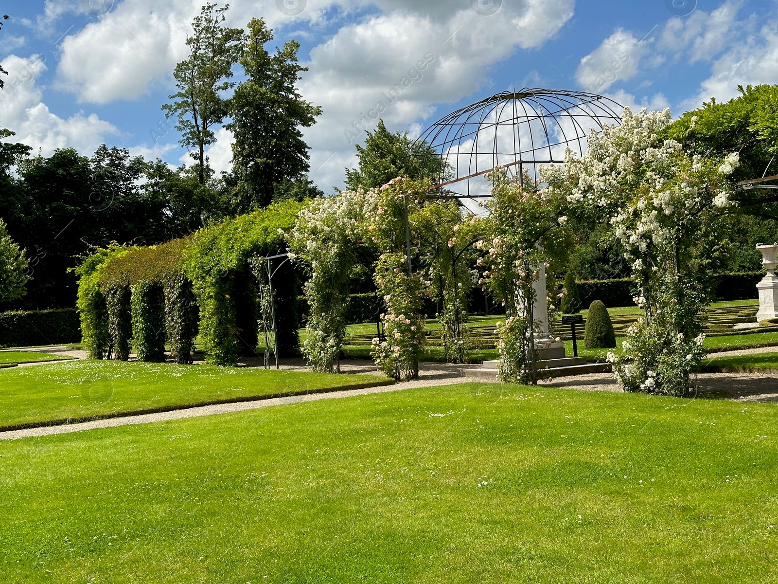 Photo of Tunnels made of plants and green grass in park