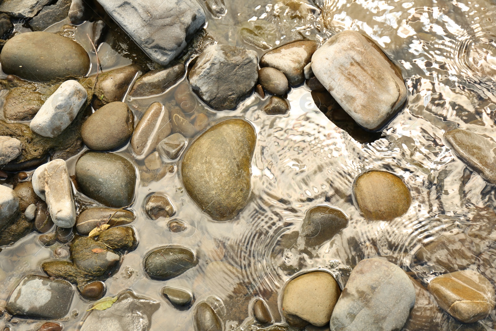 Photo of Many different stones in water, top view