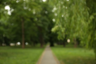 Blurred view of park with trees and green grass