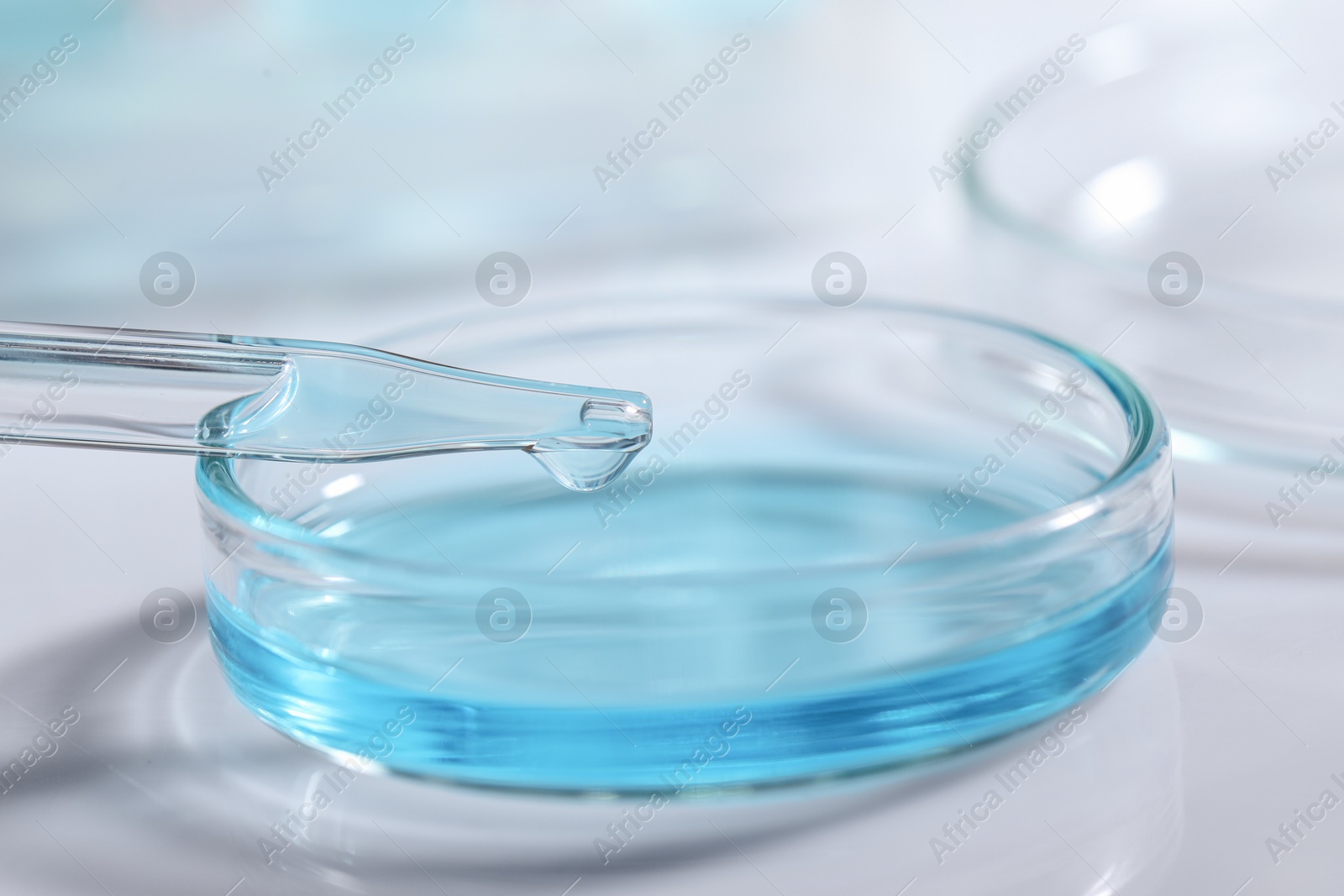 Photo of Dripping liquid from pipette into petri dish at white table, closeup