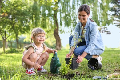 Mother and her daughter planting tree together in garden