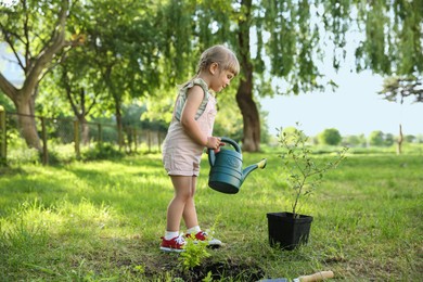 Photo of Cute little girl watering tree in garden