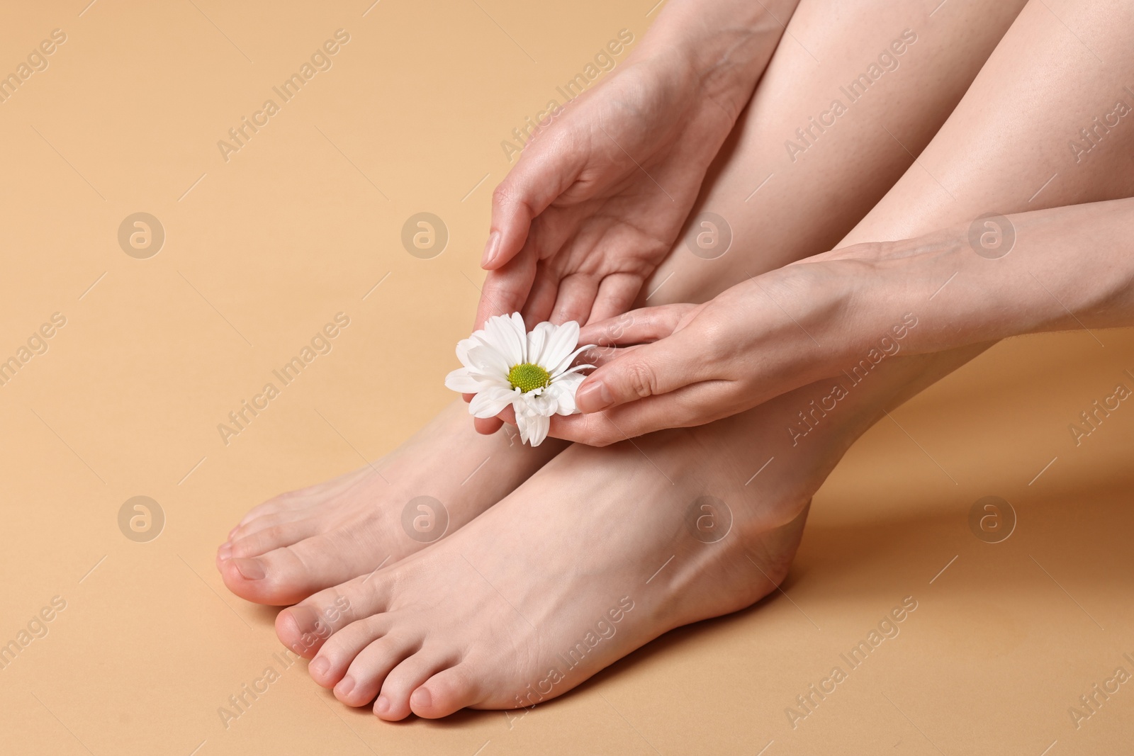 Photo of Closeup view of woman`s groomed feet after care procedure and beautiful flower on beige background