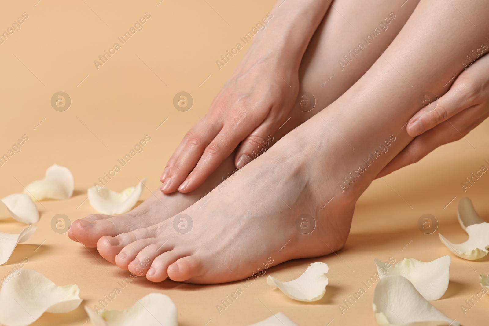 Photo of Closeup view of woman`s groomed feet after care procedure and flower petals on beige background