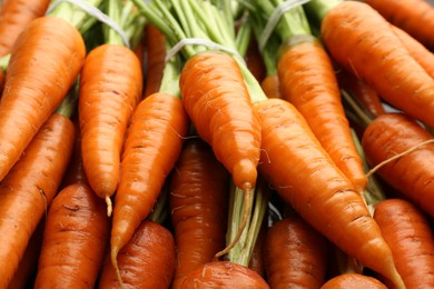 Tasty ripe juicy carrots as background, closeup