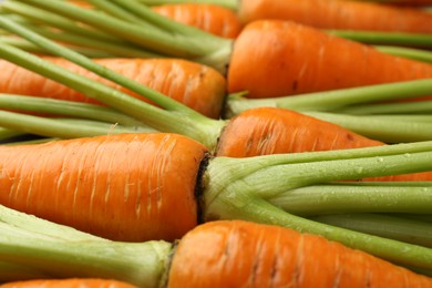 Tasty ripe juicy carrots as background, closeup