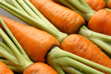 Photo of Tasty ripe juicy carrots on table, closeup