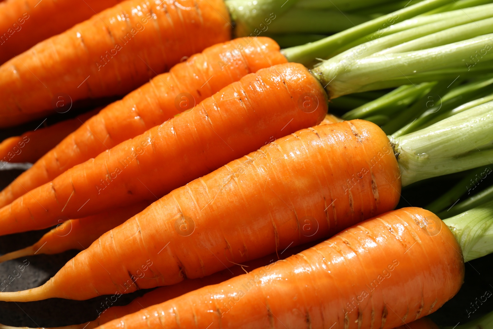 Photo of Tasty ripe juicy carrots on table, closeup