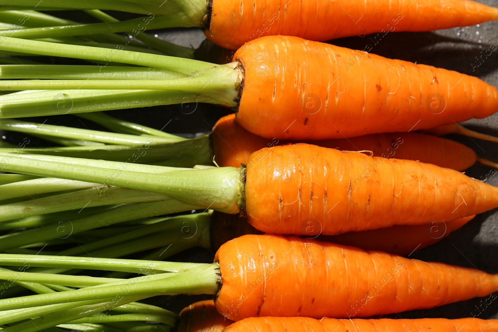 Photo of Tasty ripe juicy carrots on table, closeup