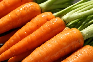 Tasty ripe juicy carrots as background, closeup