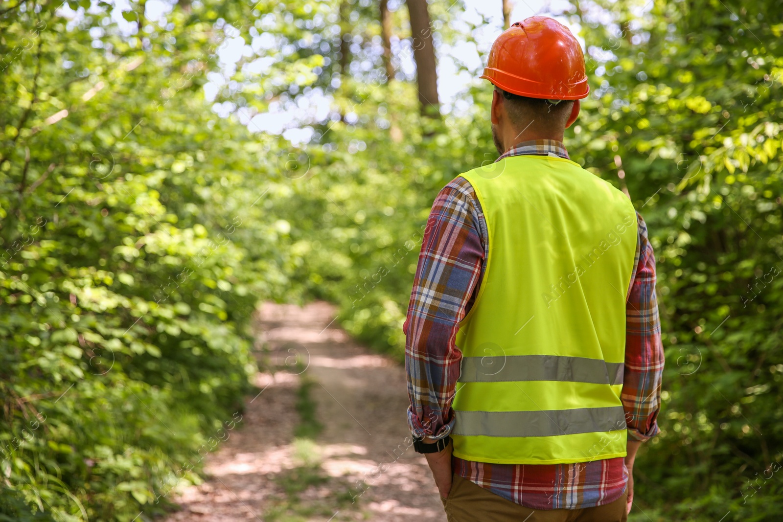 Photo of Forester in hard hat examining plants in forest, back view