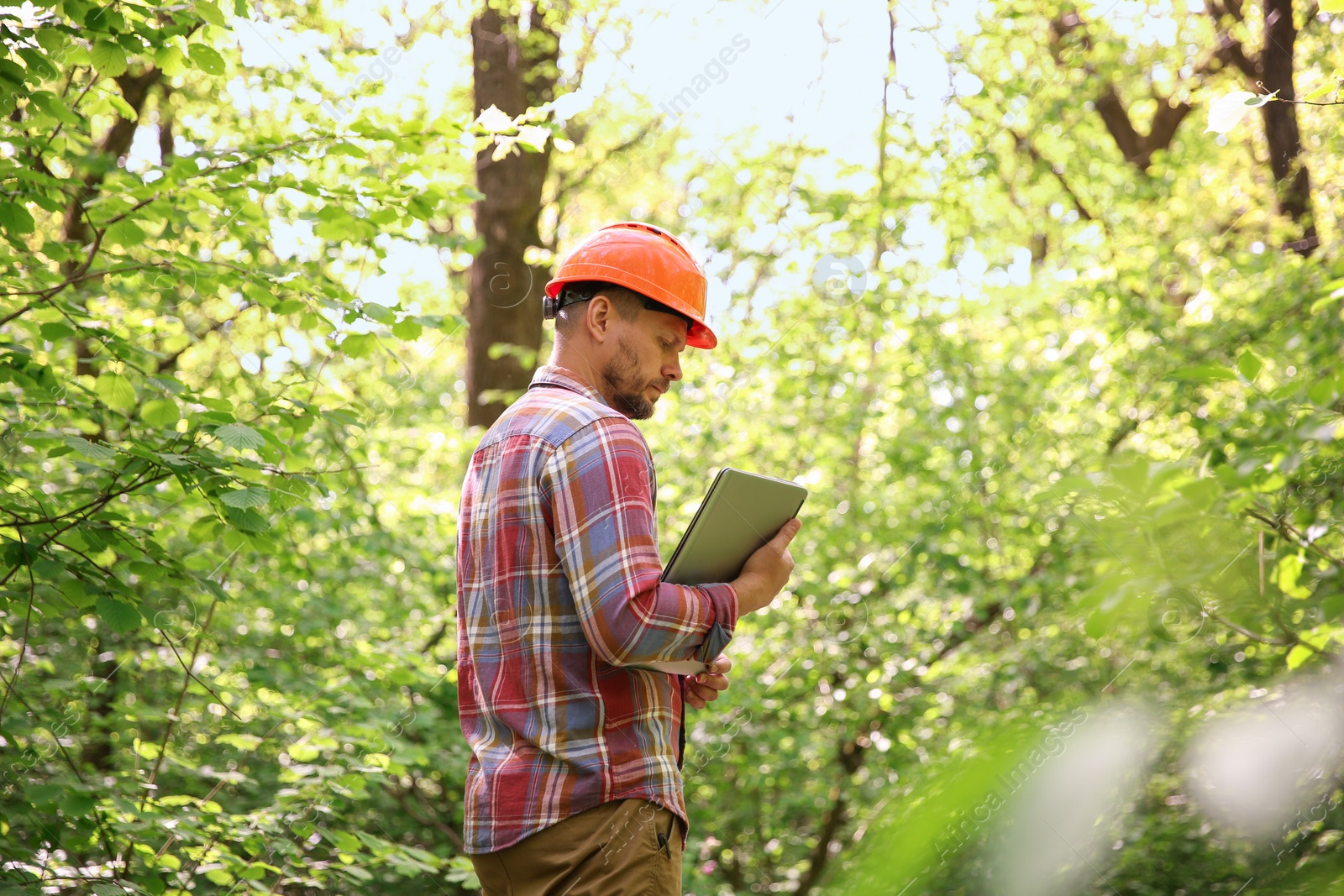 Photo of Forester with laptop examining plants in forest