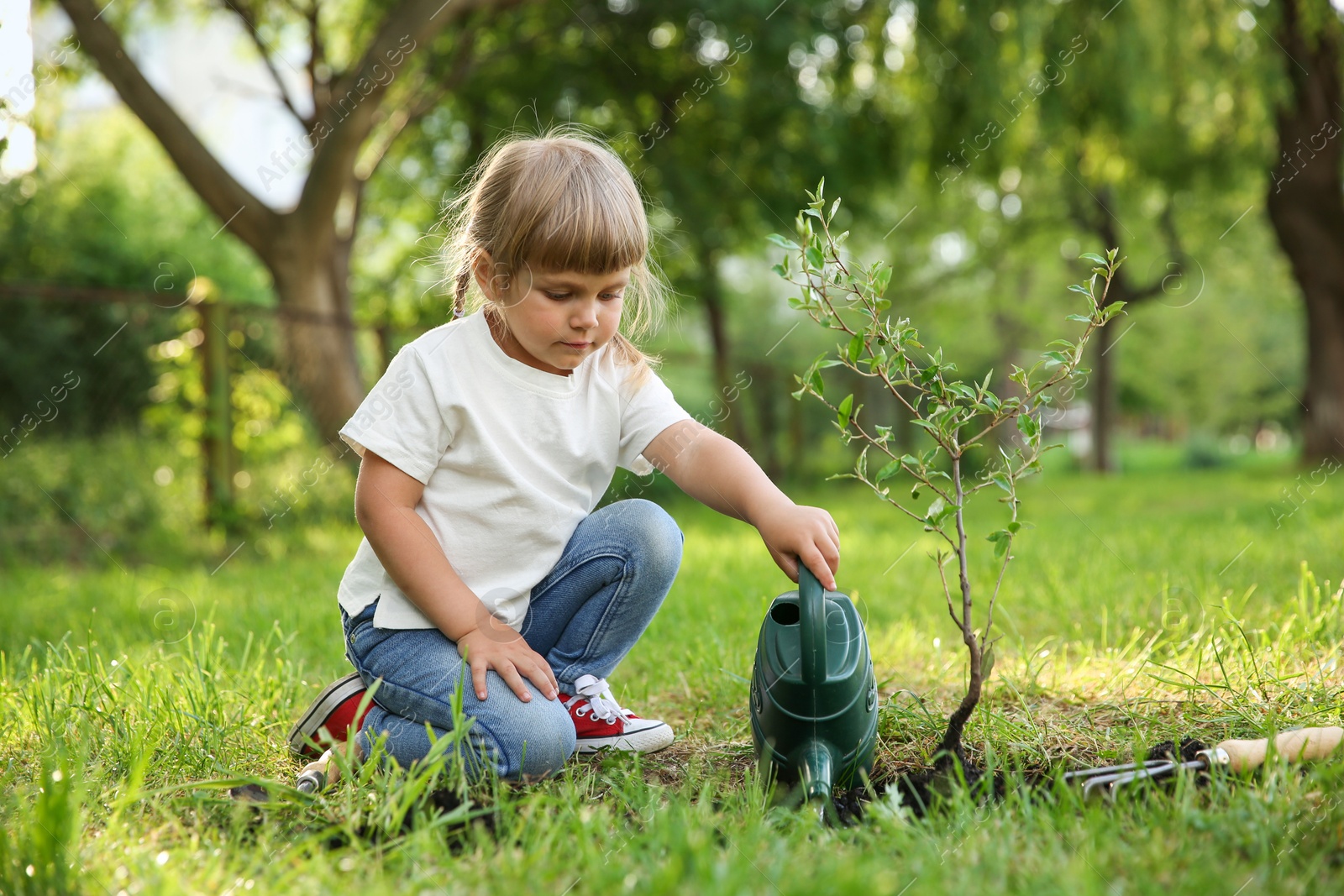 Photo of Cute little girl watering tree in garden