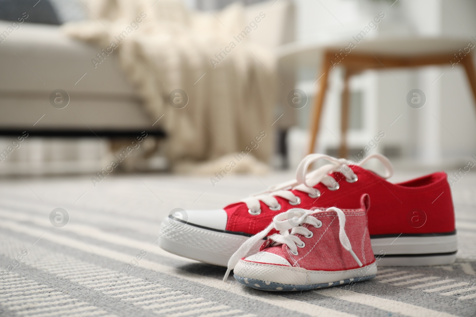 Photo of Big and small sneakers on carpet indoors. Space for text