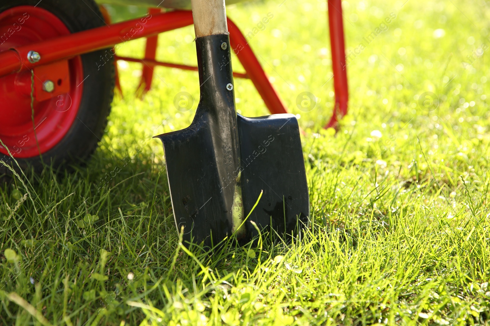 Photo of One shovel on sunny day. Gardening tool