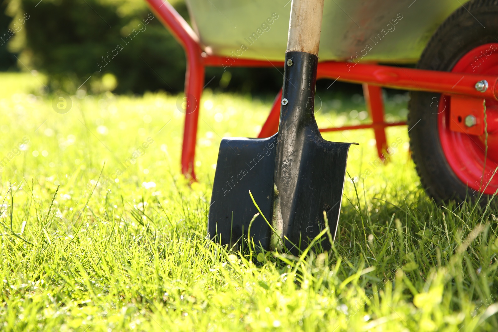 Photo of One shovel on sunny day. Space for text