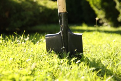 Photo of One shovel sticking out of ground on sunny day. Gardening tool