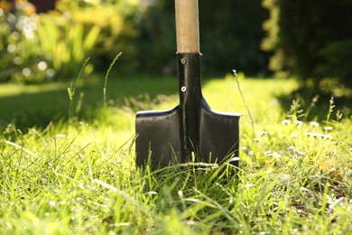 Photo of One shovel sticking out of ground on sunny day. Gardening tool